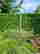 item-107074967=7