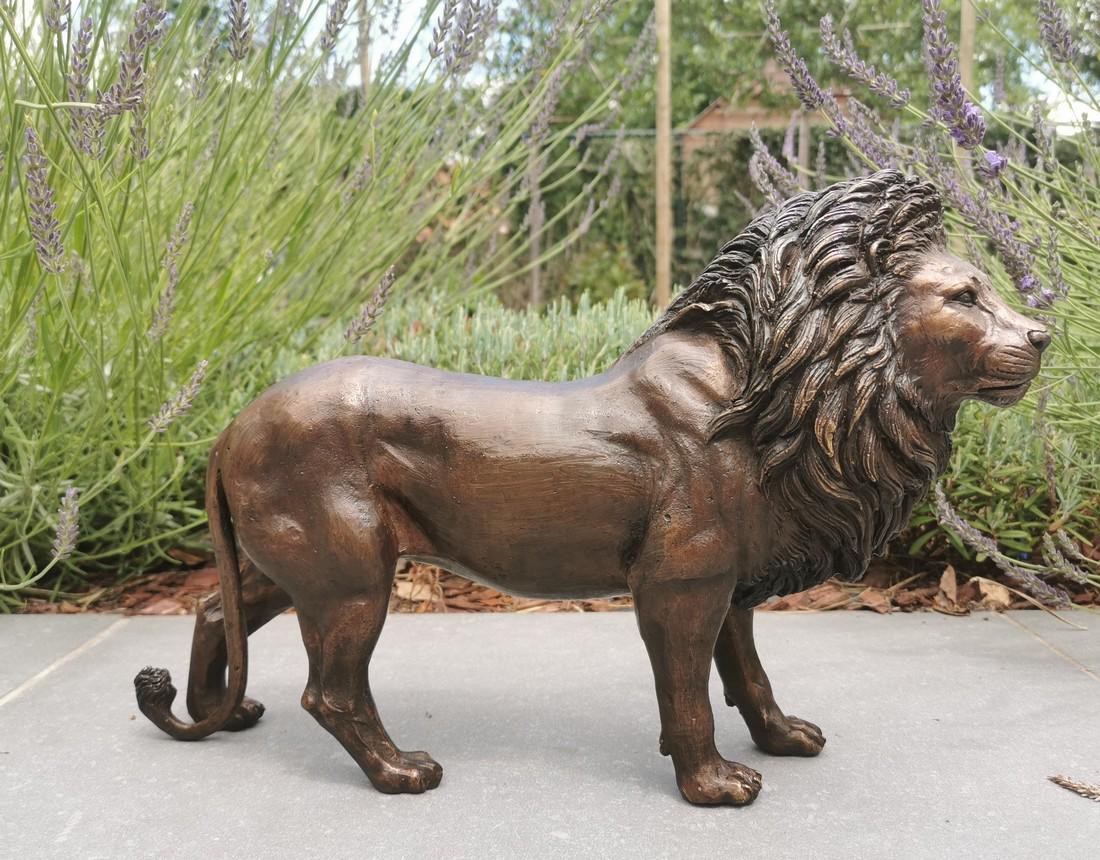 Bronzen Lion - garden sculptures - Bronze animals - (1 of 10)
