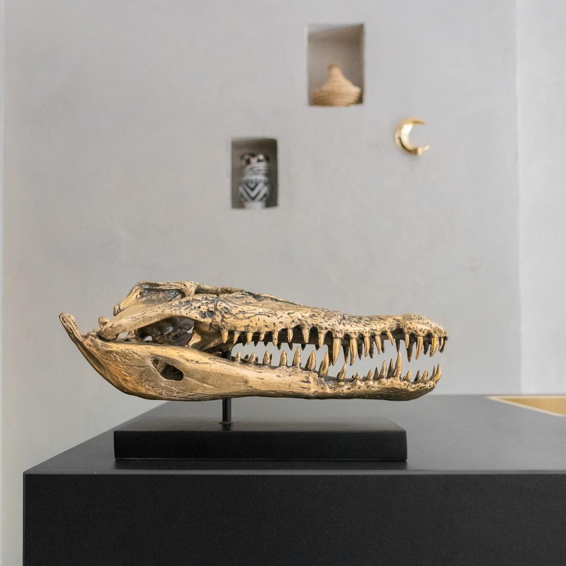 Saltwater Crocodile Skull in Polished Bronze (1 of 10)
