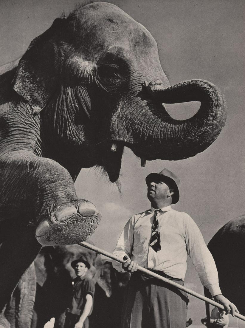 MARGARET BOURKE WHITE - Circus Elephant in Sarasota,: Artist: MARGARET BOURKE WHITE Print Title: Circus Elephant in Sarasota, FL, 1940’s Printing Date: 1940’s Medium: Photoengraving Printed in: the US Image Size: 10.5 x 8” Margaret Bourke-White Jun