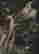 item-107192168=2