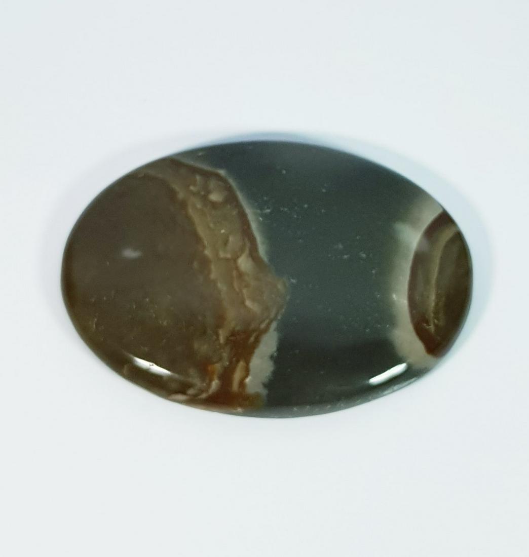 88.20 Ct Natural American Jasper (1 of 1)