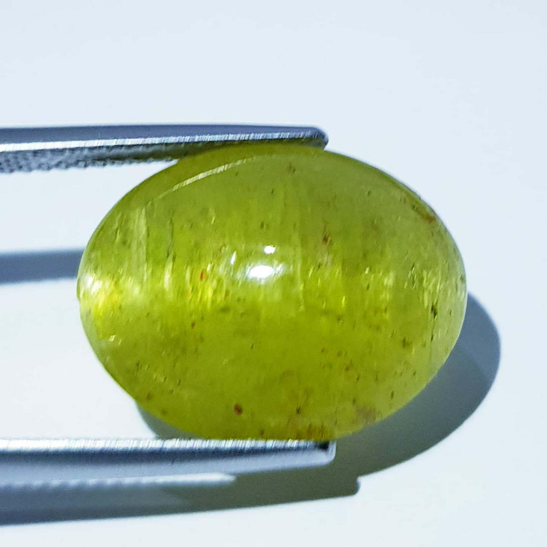 15.95 ct Natural Apatite cat's Eye (1 of 1)