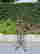 item-107251944=3