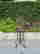 item-107251944=4