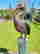 item-107252035=4