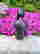 item-107252195=4