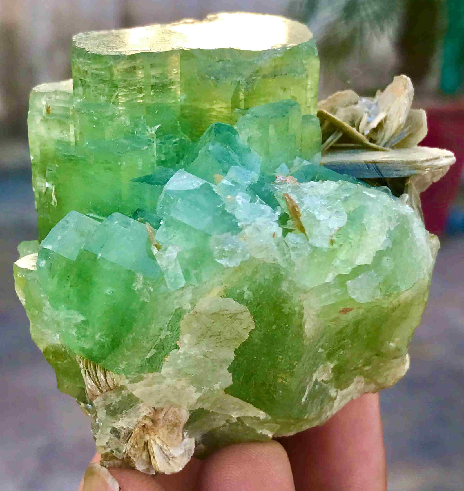 1394 Carats Well Terminated Natural Green Color: Title: 1394 Carats Well Terminated Natural Green Color Aquamarine Beryl Var Emerald Specimen Additional Information: Title: 1394 Carats Well Terminated Natural Green Color Aquamarine Beryl Var Emerald