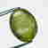 item-107664284=5