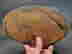 item-107800900=4