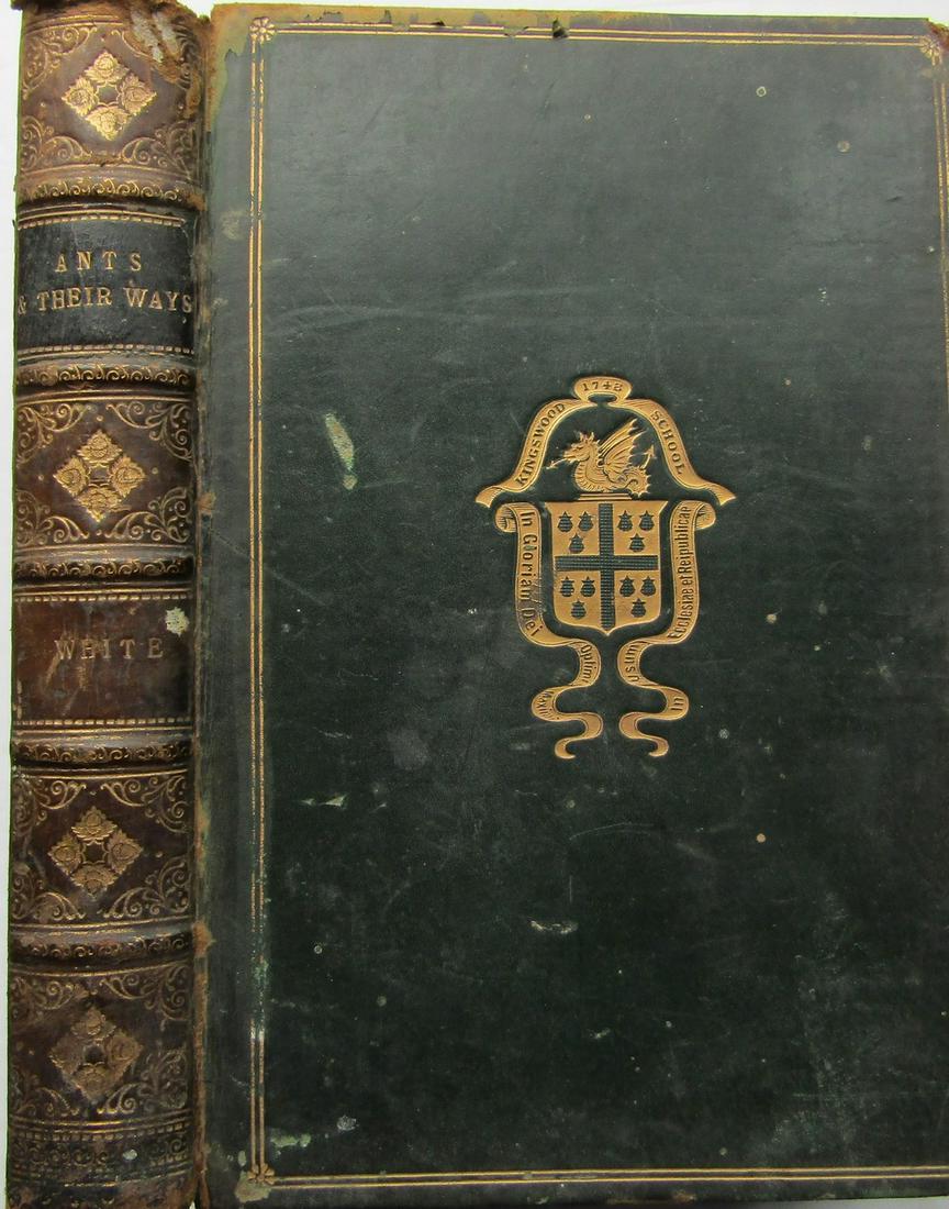 Ants And Their Ways: with illustrations, and an appendix giving a complete list of genera and species of the British Ants' Full leather with gilt armorial crest and lineal borders. Gilt title, gilt raised bands and gilt p