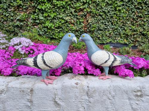 Set of 2 cast iron pigeons - Garden ornaments (1 of 7)