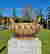 item-107854281=3