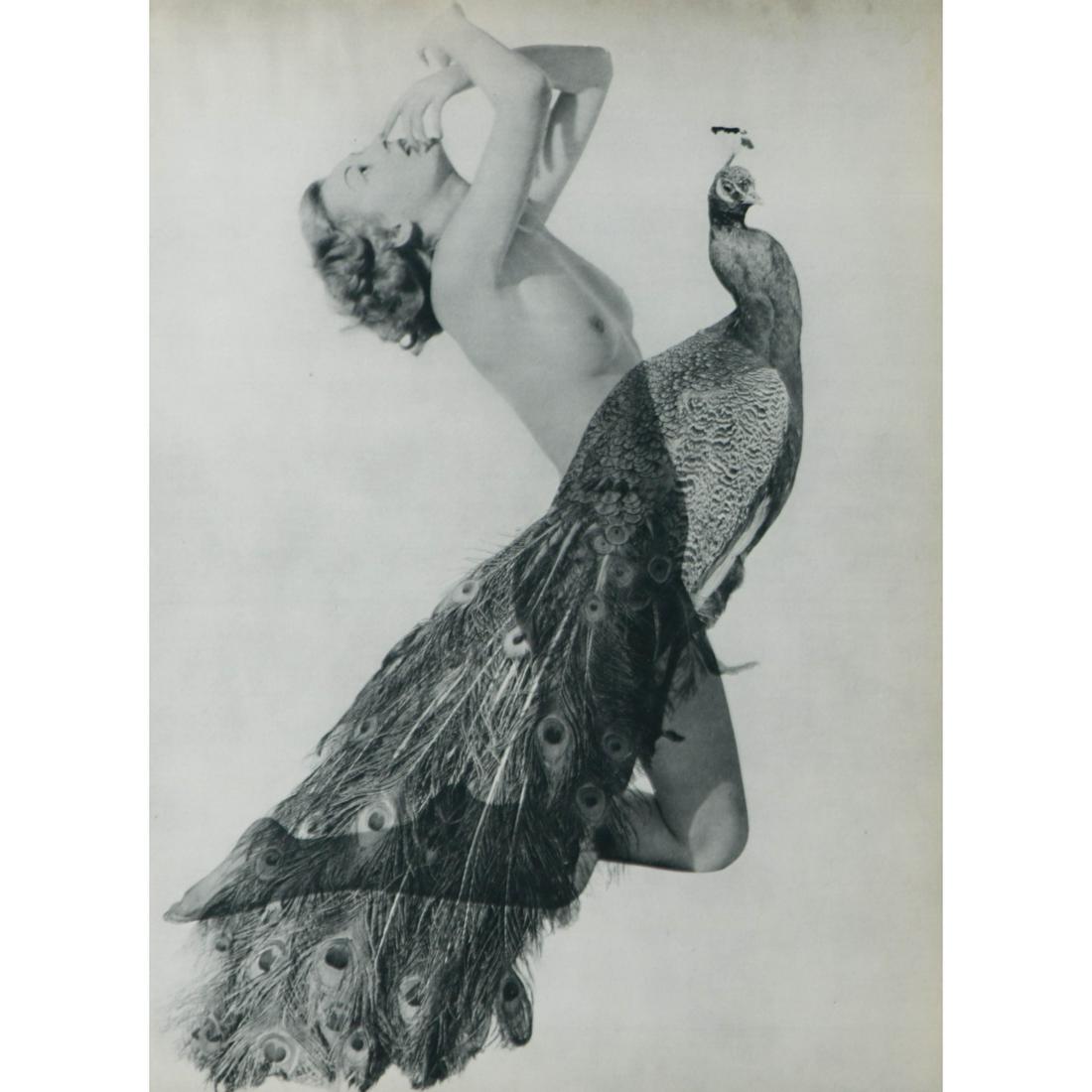 LUCIEN LORELLE - Nude superimposed with a peacock: Artist: LUCIEN LORELLE Print Title: Nude superimposed with a peacock Medium: Sheet-fed Gravure Printing Date: 1960's Printed in France Image Size approx: 9.5 x 7.25 inches Lucien Lorelle (1894-1968)