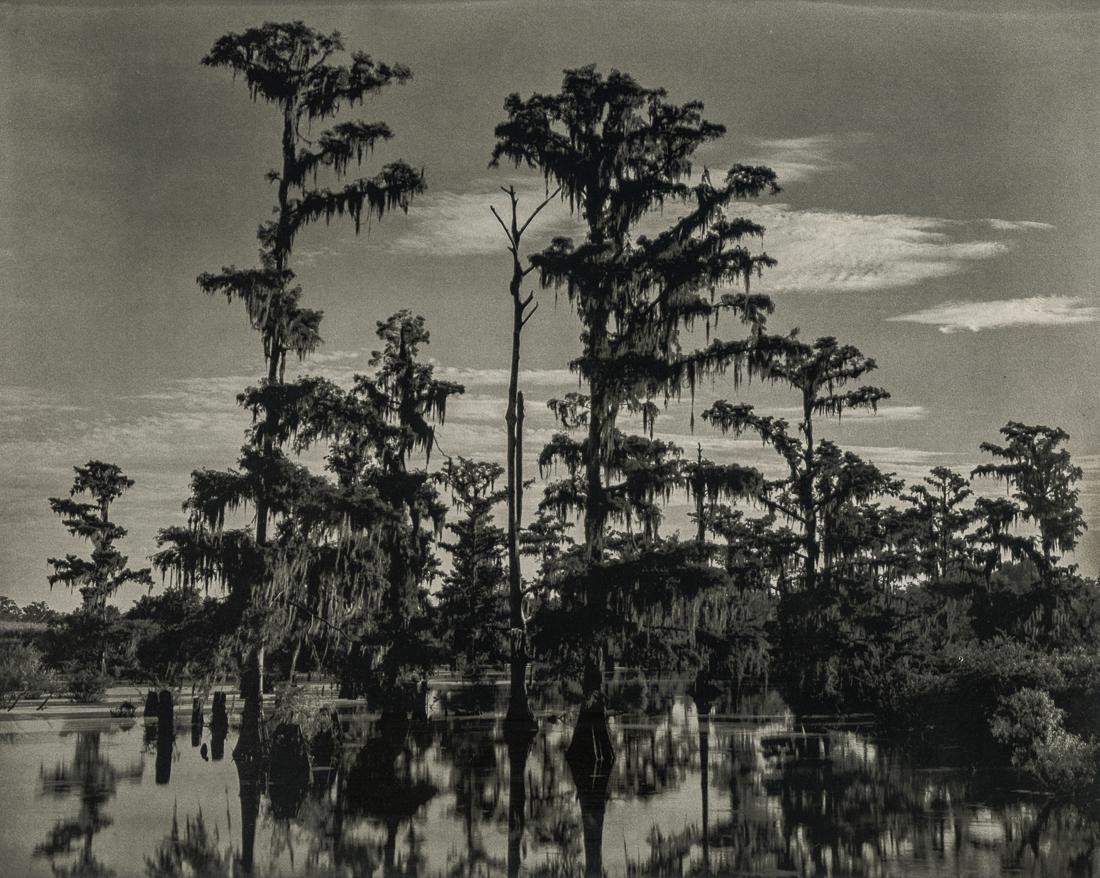EDWARD WESTON - Louisiana, 1941: Artist: Edward Weston Title: Louisiana, 1941 Medium: Photo Litho, 1973, USA Dimensions: 9.35x7.45" Description: Heat Wax Mounted on 11x14" Conservation Board Artist Bio: Edward Henry Weston was a 20th