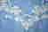 item-108316545=2