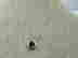 item-108371697=2