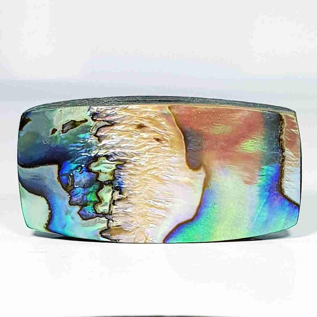 34.70 ct Australian Abalon (1 of 5)