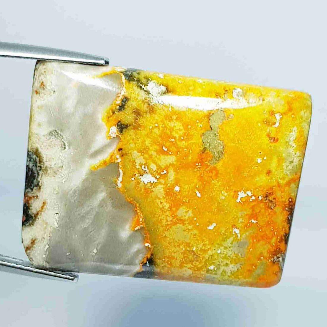 38.45 ct Natural Bumble Bee Jasper (1 of 5)