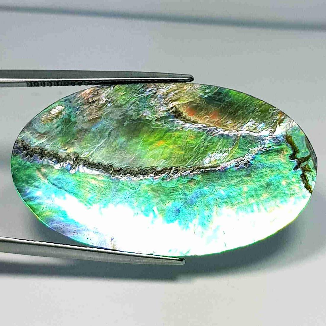 14.20 ct Natural Australian Abalon (1 of 5)