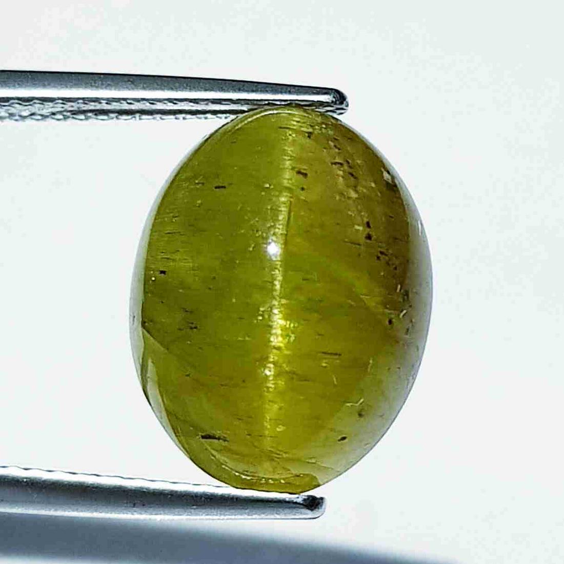 12.78 ct Natural Apatite cat's Eye (1 of 5)