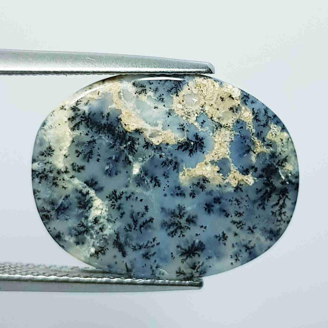 9.60 ct Natural Dendrite Opal: No Reserve! Title: 9.60 ct Natural Dendrite Opal Color/Clarity: Opaque Gemstones: Loosegemstone Carat Weights: 9.6 Size/Dimensions: 20.50 x 16.00 x4.70 Additional Information: Oval / Australia Shippin