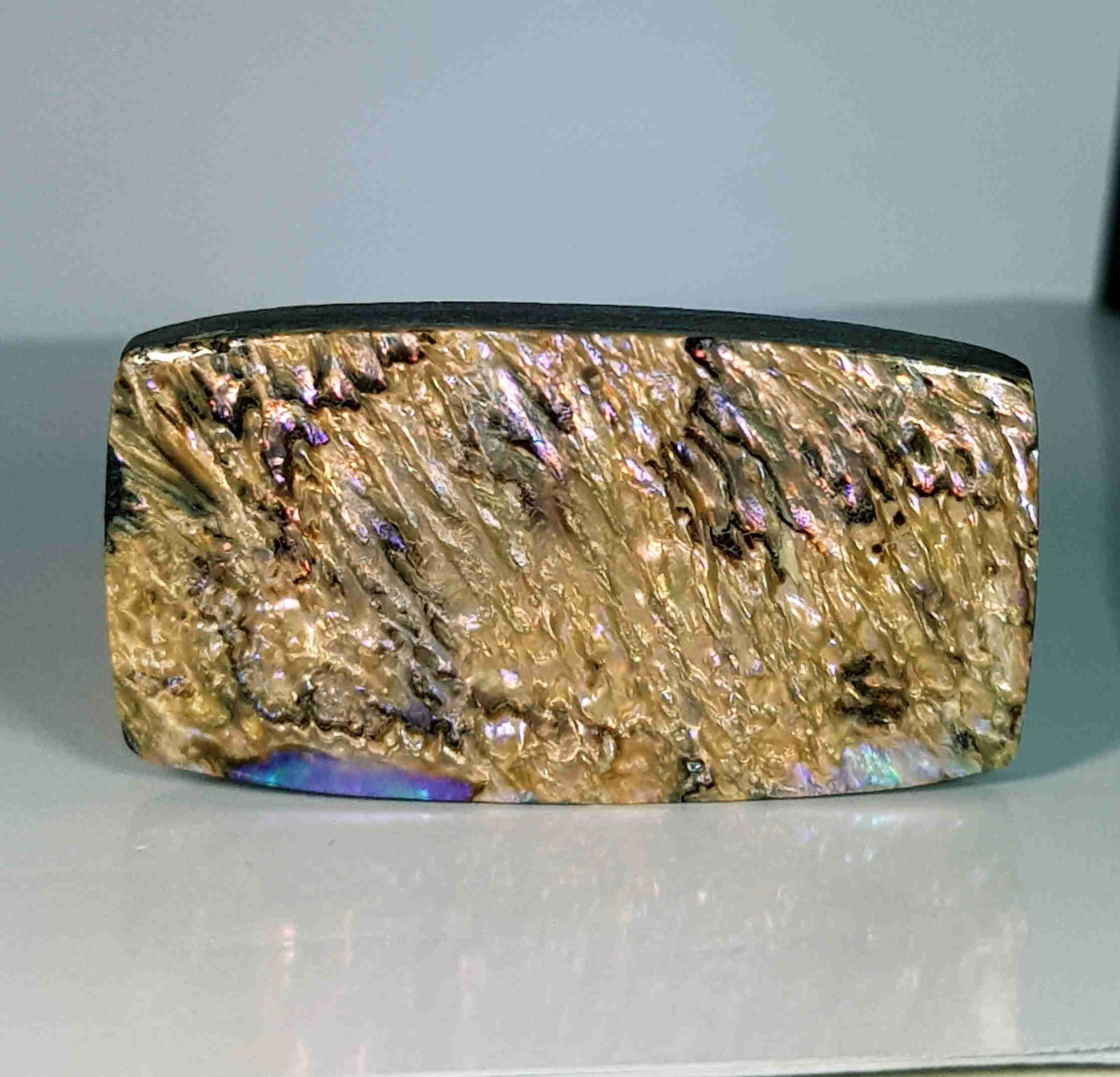 43.80 ct Australian Abalon (1 of 4)