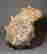 item-108747488=3