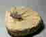 item-108747518=2