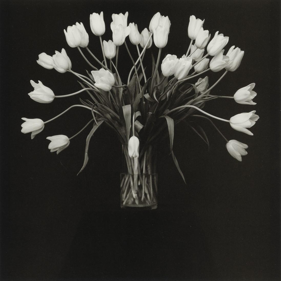 ROBERT MAPPLETHORPE - Tulips, 1988 (1 of 1)