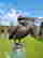 item-109004213=2