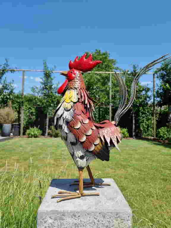 Colorful Rooster - Garden Rooster - Metal garden (1 of 12)