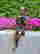 item-109004370=3