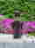 item-109004370=4