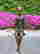 item-109004370=5