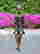 item-109004370=7