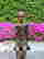 item-109004370=8