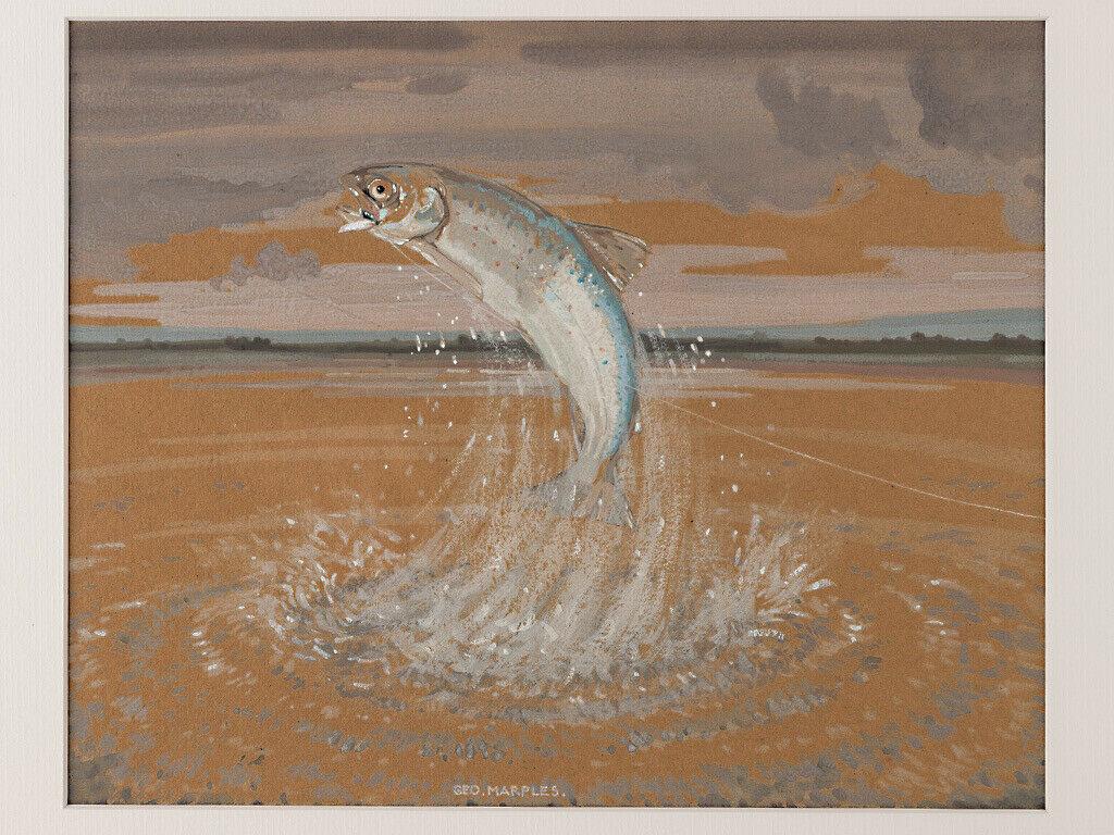 George Marples Angling Sporting Painting Watercolour: George Marples Angling Sporting Painting Watercolour Hooked Salmon Artist: George Marples (1869-1939) Title: “Hooked Salmon” or Salmon Leaping Medium: Watercolour and Gouache on Paper Date: c1920