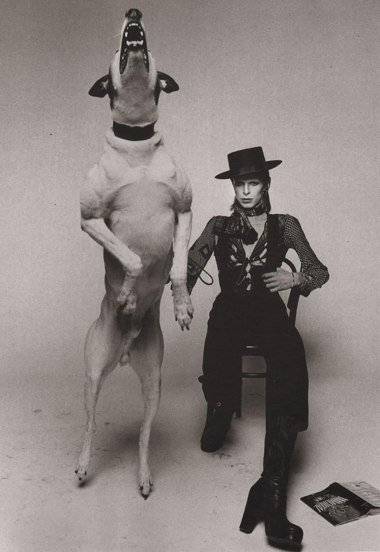 TERRY O’NEILL - David Bowie, Diamond Dogs, 1975 (1 of 1)