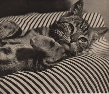 RAYMOND PEYNET - Siesta,1930’s: Artist: RAYMOND PEYNET Print Title: Siesta,1930’s Medium: Photoengraving Printed 1930’s in the UK Image size (inches) approx. 5.5 x 6” Reserve: $25.00 Shipping: Domestic: Flat rate of $15.00 to