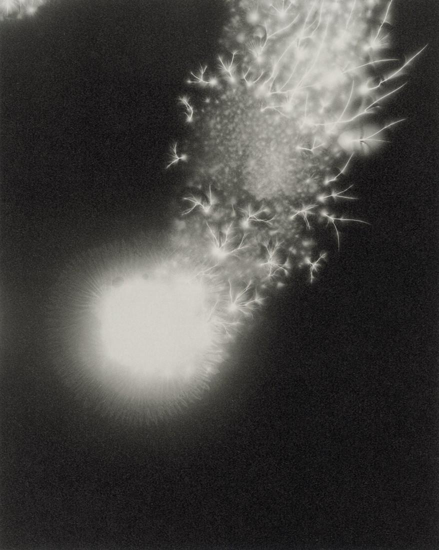 HIROSHI SUGIMOTO - Lightning Fields #248, 2014 (1 of 1)