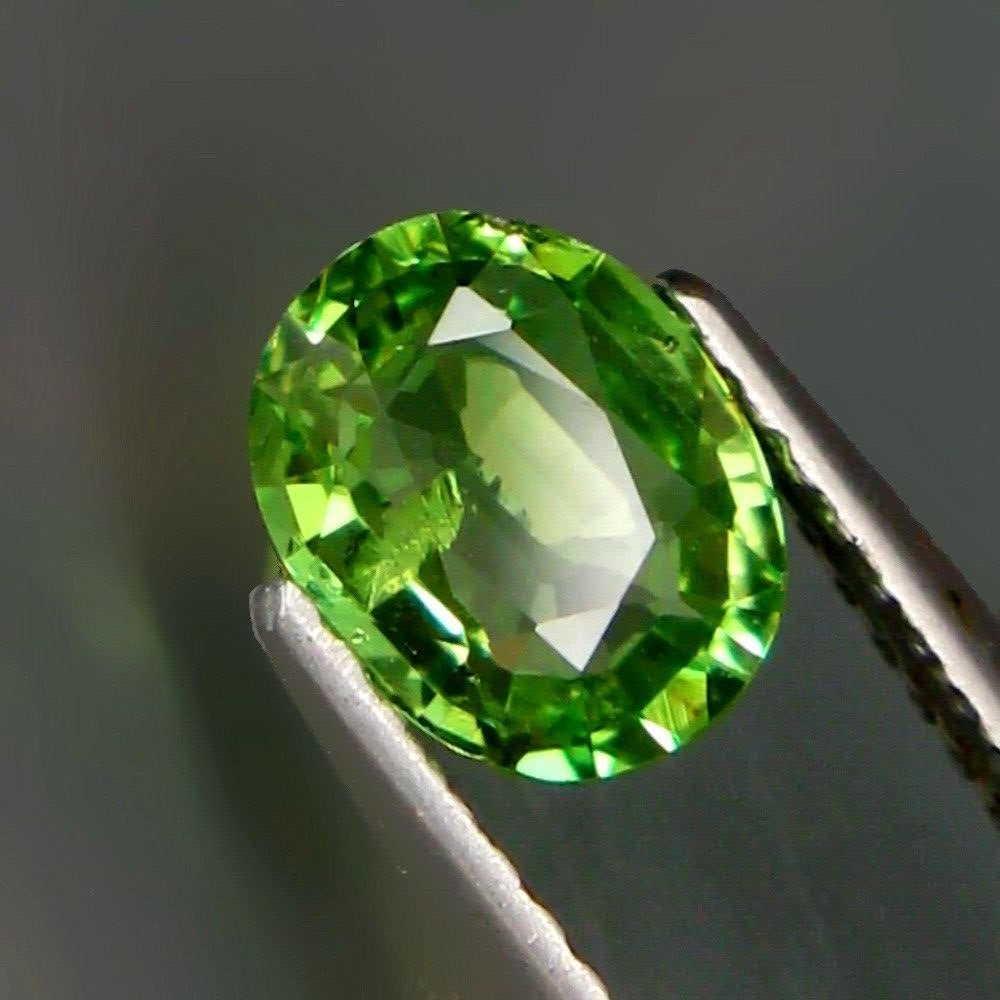 0,92 ct Natural Apple Green Tsavorite Garnet 0,92 ct (1 of 2)