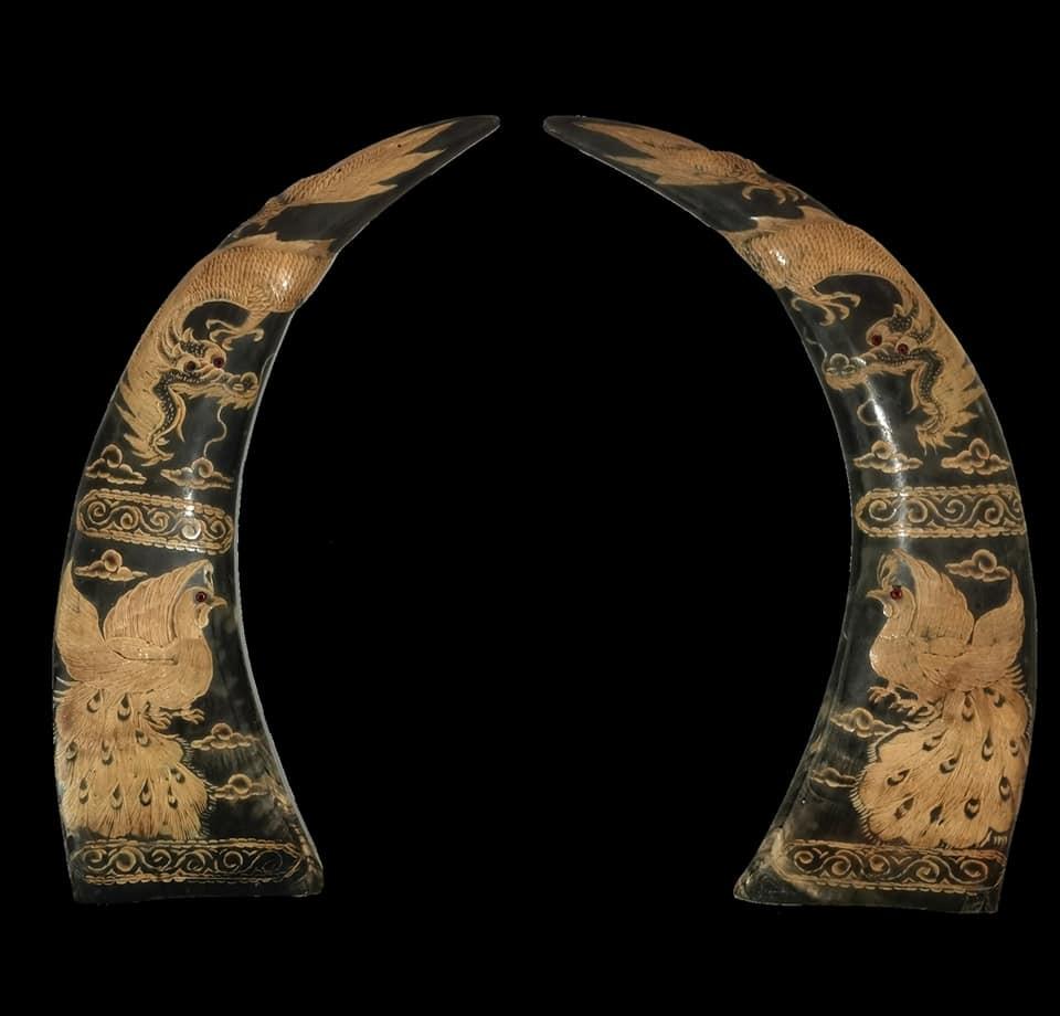 A pair of beautiful buffalo's horns finely hand carved (1 of 20)