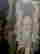 item-109659625=4
