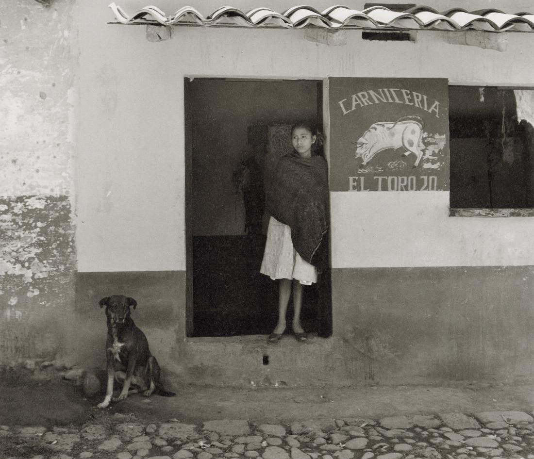 MANUEL ALVAREZ BRAVO - Dog Number Twenty, 1958 (1 of 1)