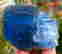 item-109763220=2