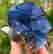 item-109763226=3
