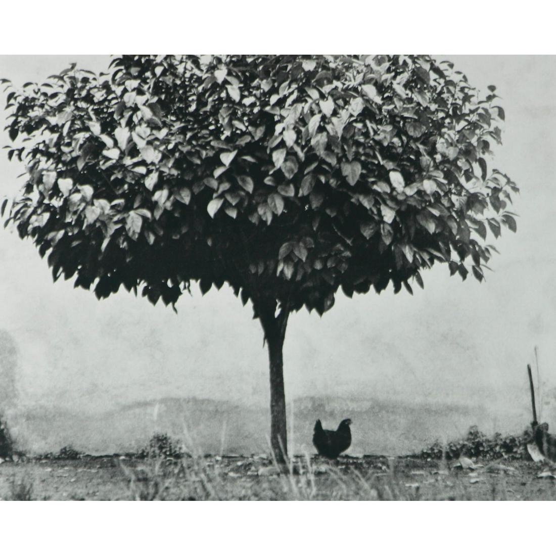 EDOUARD BOUBAT - Pau, France, 1950: Artist: EDOUARD BOUBAT Print Title: Pau, France, 1950 Medium: Sheet-Fed Gravure Printing Date: 1970's Printed in France Image Size approx: 6.5 x 7.5 inches Edouard Boubat (1923-1999) was a French phot