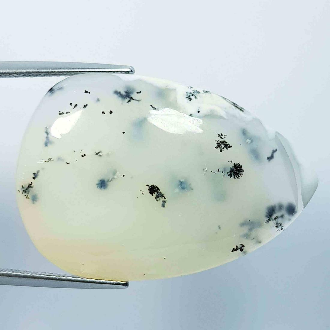 34.40 ct Natural Dendrite Opal (1 of 5)