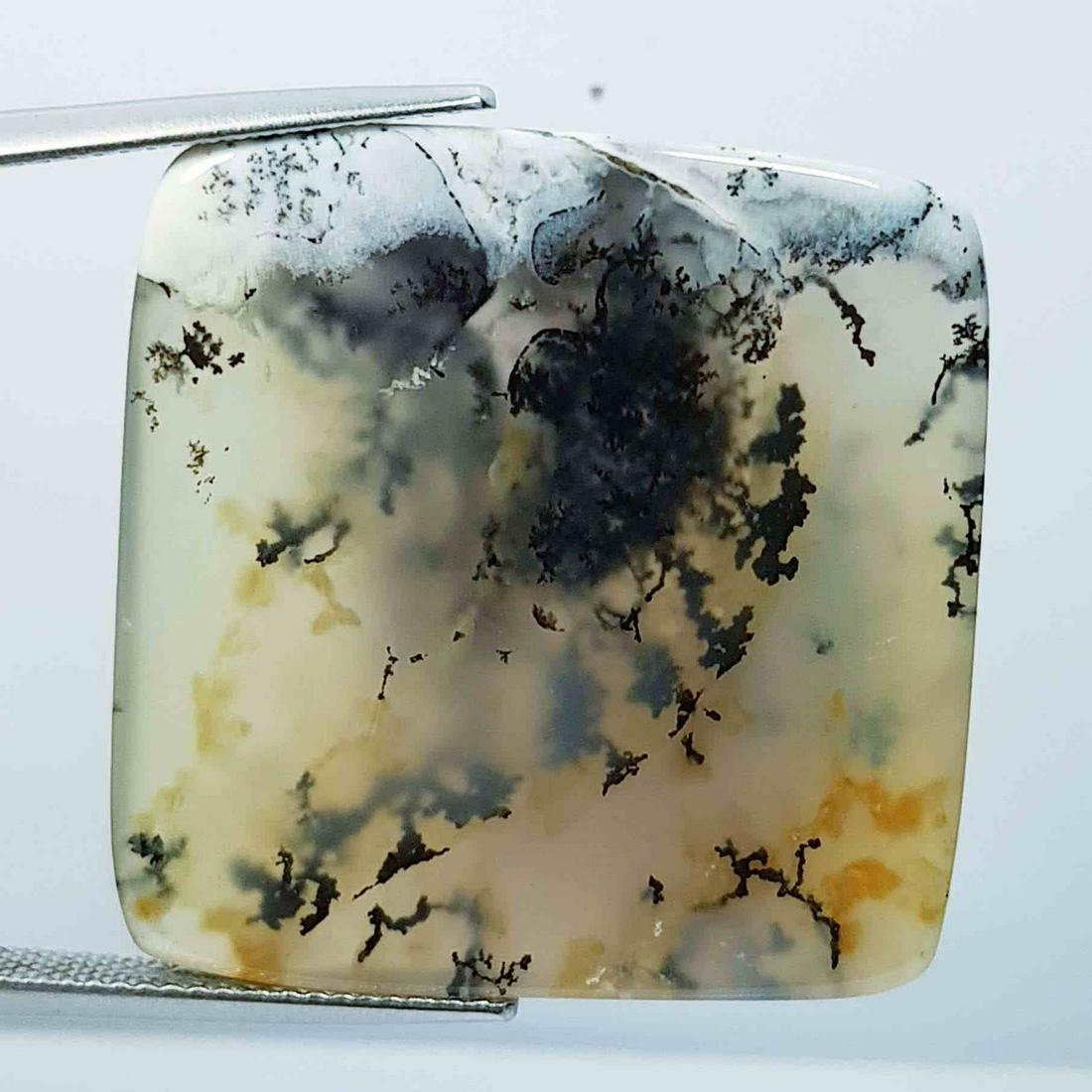 44.45 ct Natural Dendrite Opal (1 of 5)